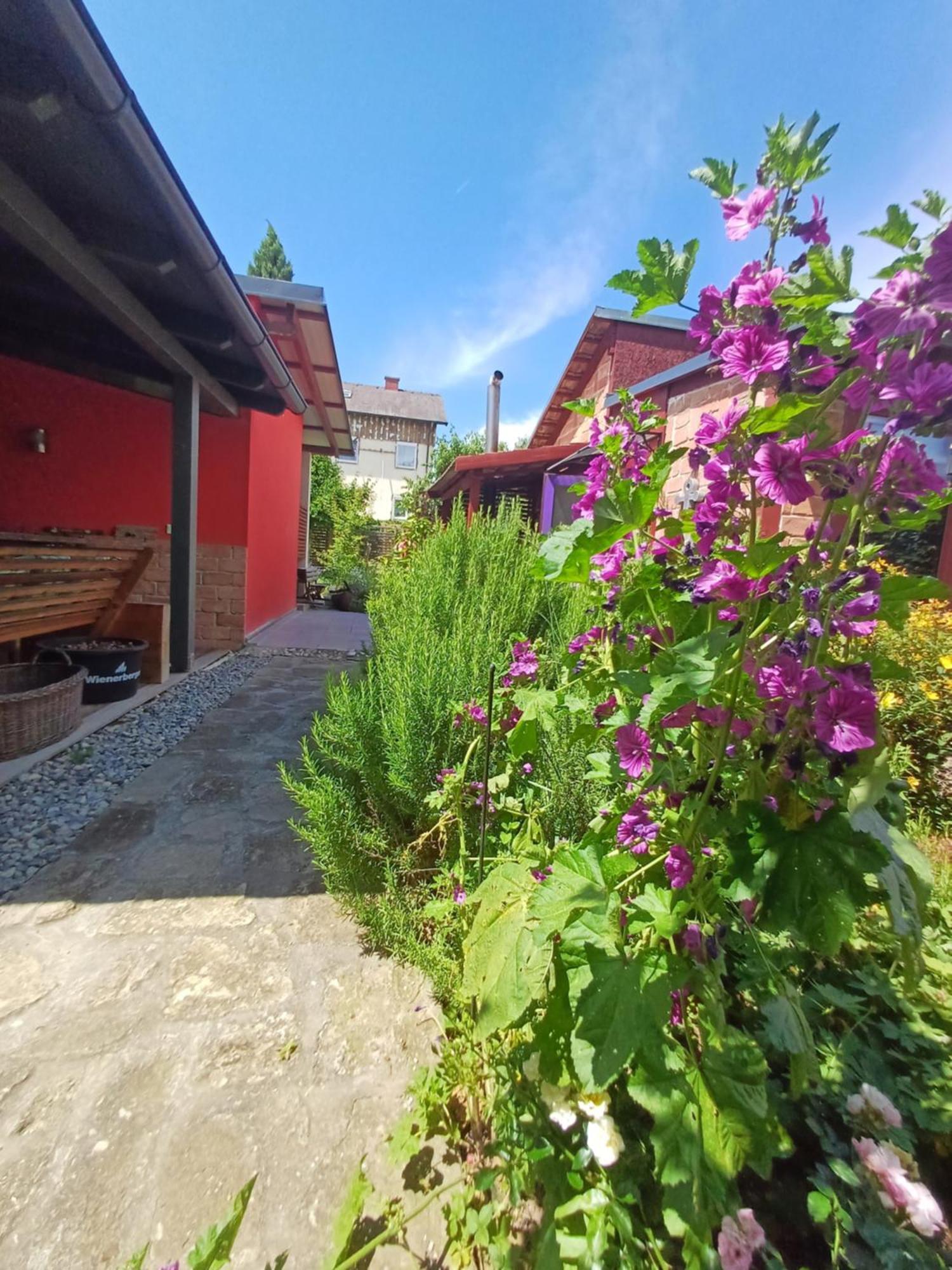Bootshaus Villa Kismarton Kültér fotó
